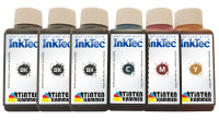 InkTec Tinte f&uuml;r Canon PGI-580 CLI-581 - 6x 250ml